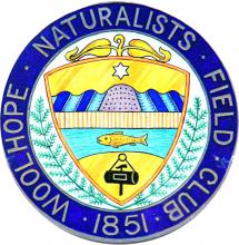 Woolhope Club badge
