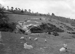 Landslip at Putley. Photo by Alfred Watkins 1904